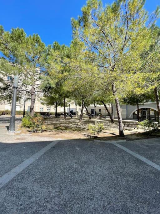 Ferienwohnung Petit Nid Douillet - Studio - Rives Du Lez - Wifi Montpellier Exterior foto